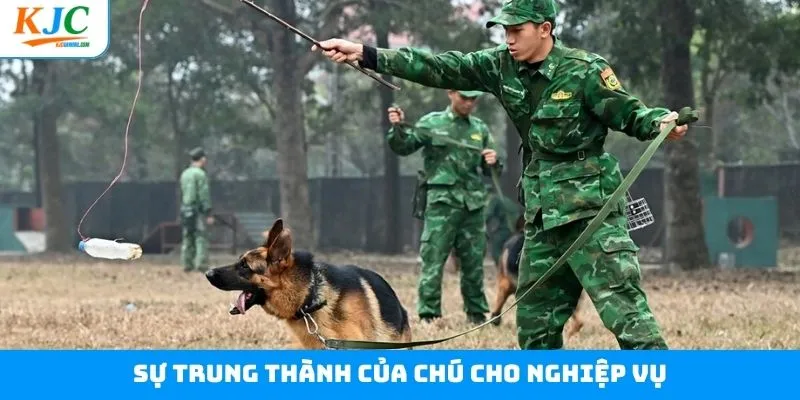 Sự trung thành và sẵn sàng làm theo mệnh lệnh Sự trung thành và sẵn sàng làm theo mệnh lệnh