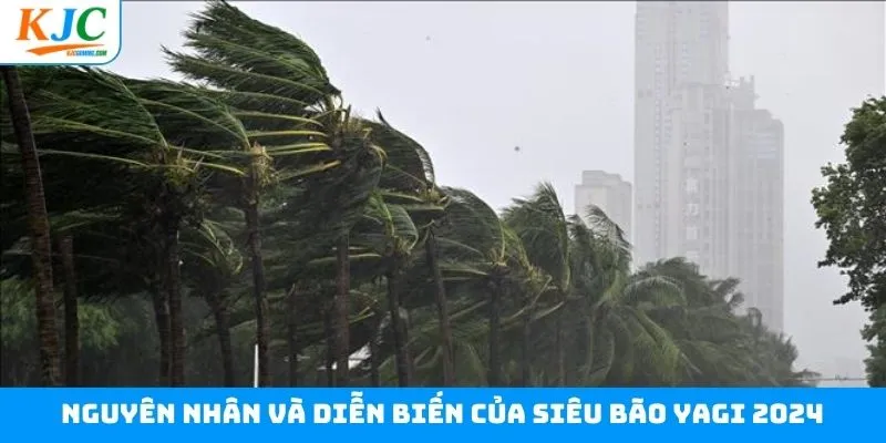 Tìm hiểu nguyên nhân và diễn biến của siêu bão Yagi Tìm hiểu nguyên nhân và diễn biến của siêu bão Yagi